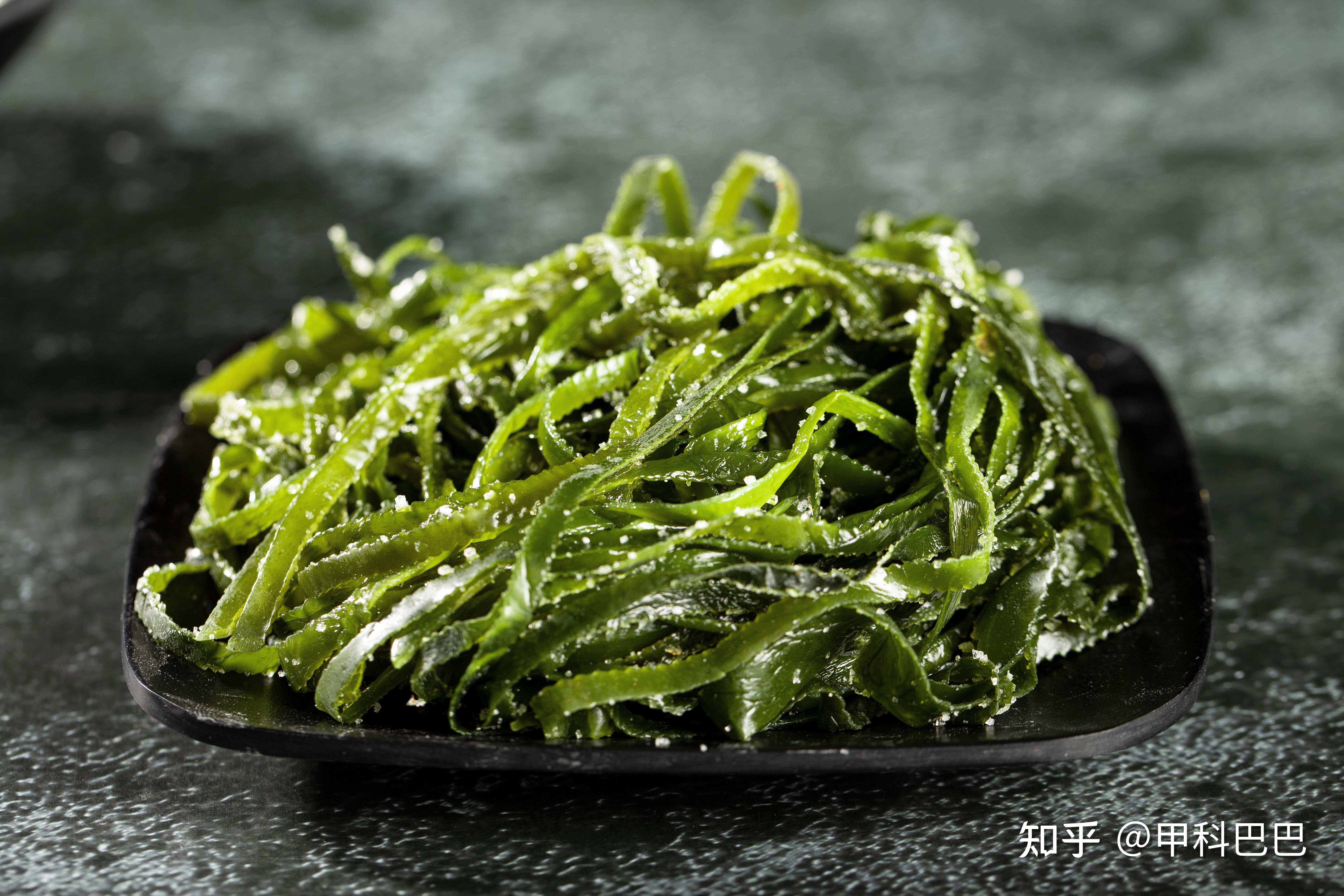 海藻中的贵族 - 知乎