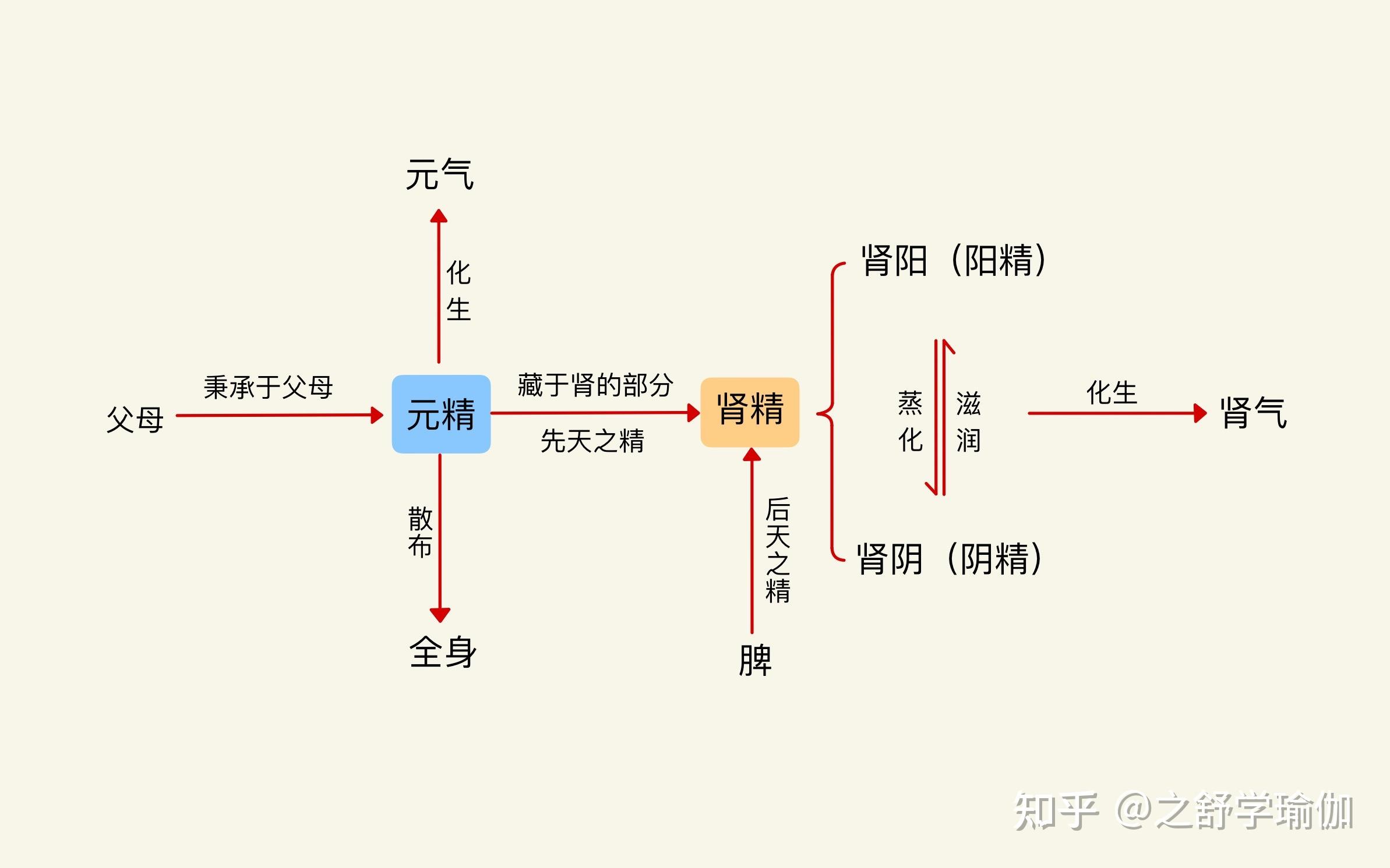 瑜伽与中医 