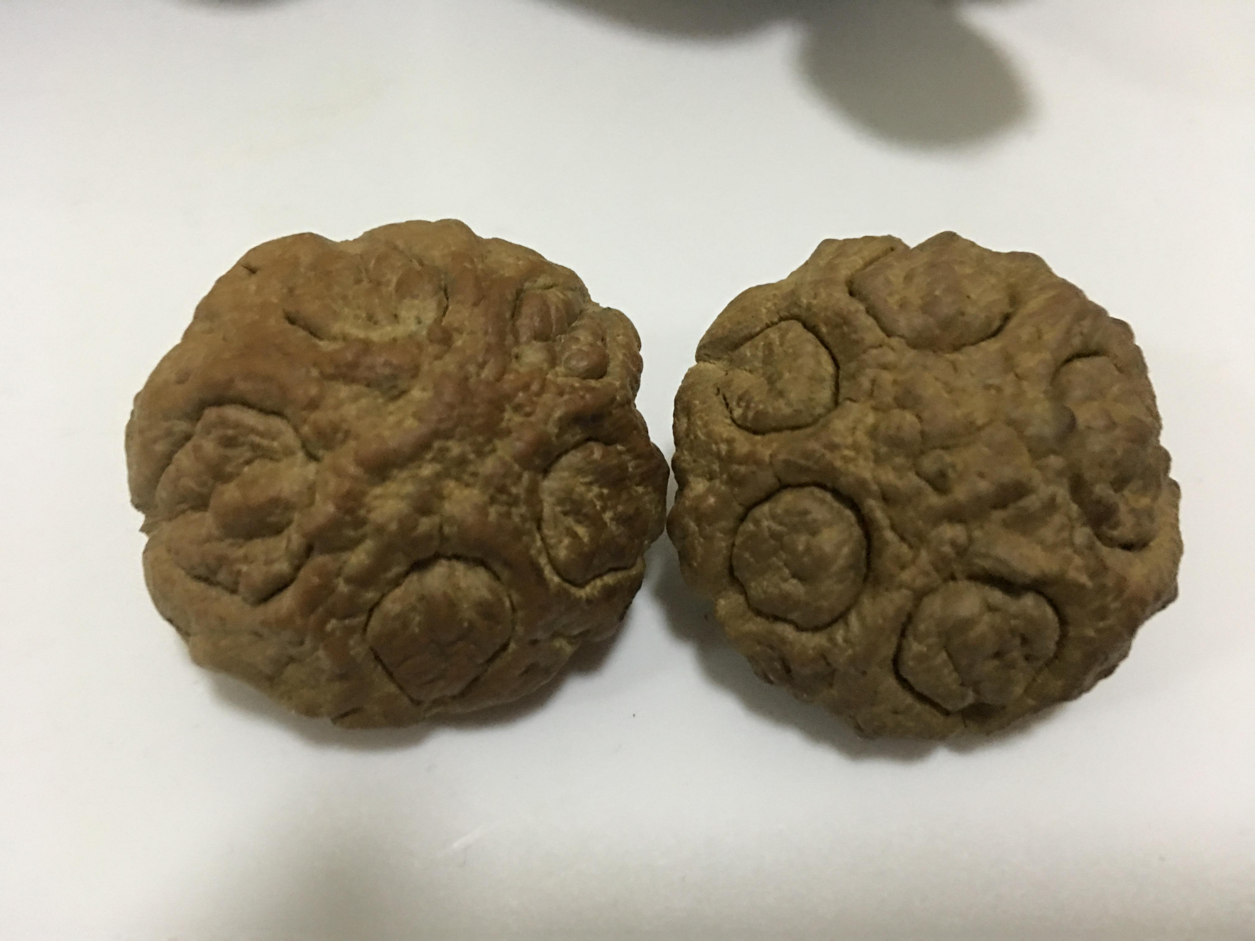 风氏文玩收藏馆:关于鬼脸菩提的故事一则