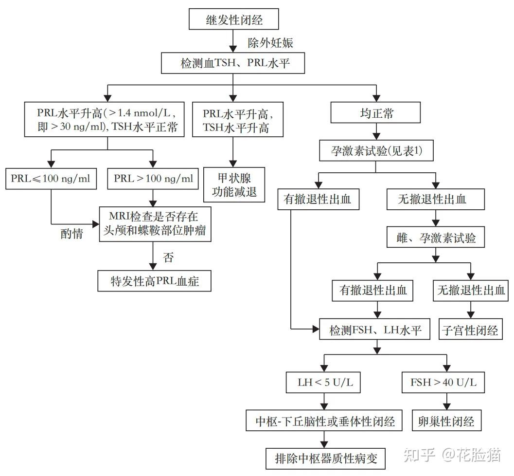 临床指南 | 闭经诊断与治疗指南（2023版） - 知乎