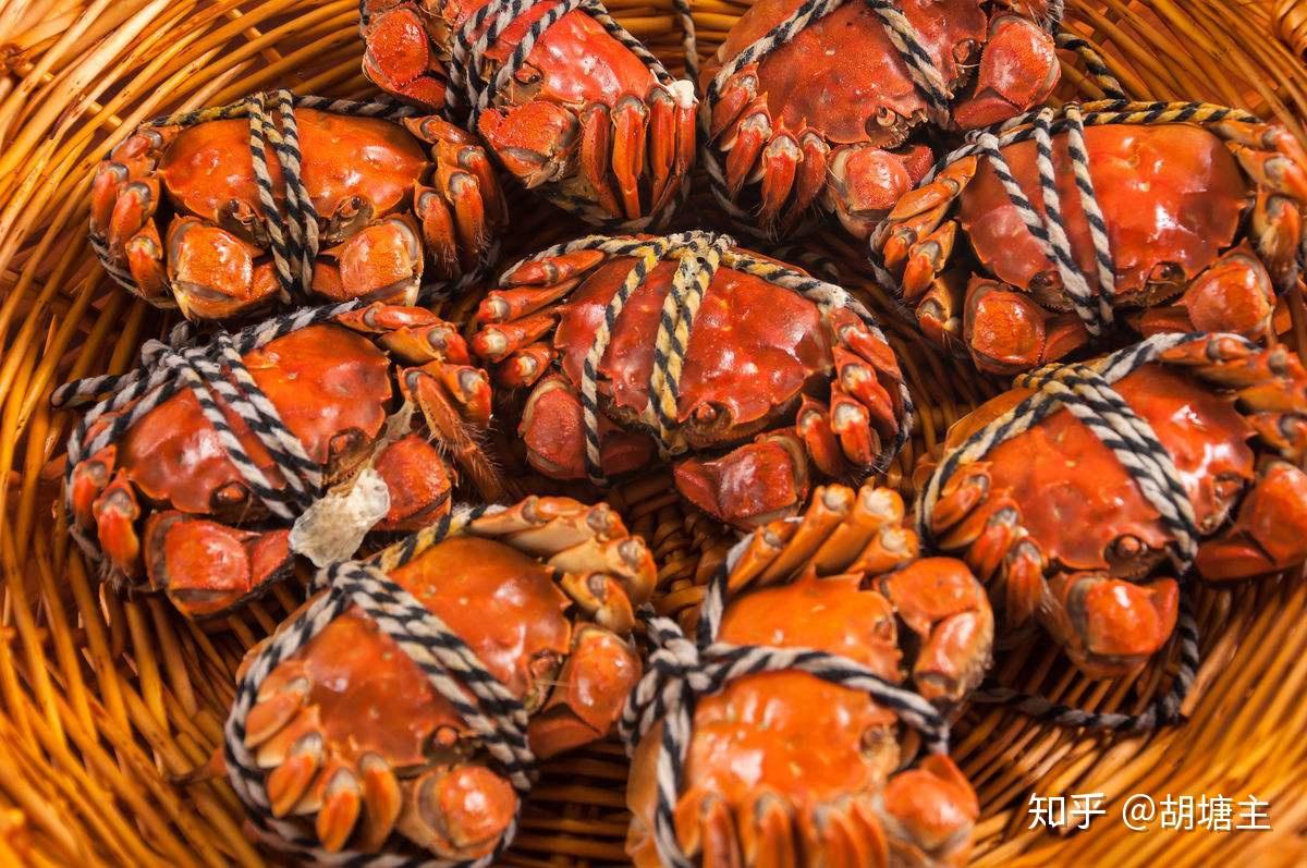 舟山野生梭子蟹香辣蟹海鲜熟食即食包肥一件代发非红膏蟹大闸蟹-阿里巴巴