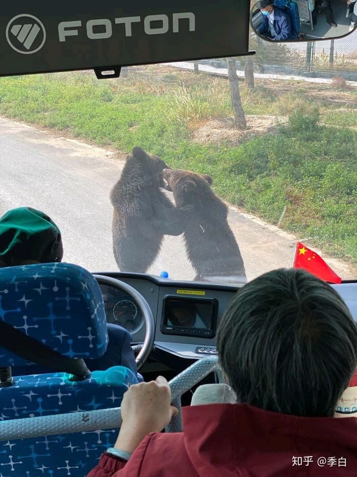 太原動物園一日遊攻略