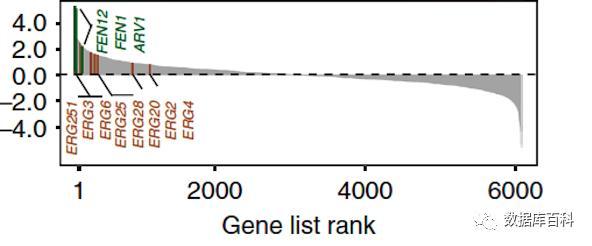 基因富集分析算法介绍 - 知乎