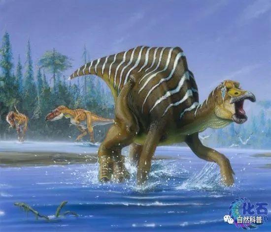 镇馆之宝(7)| 中国第一龙——黑龙江满洲龙 - 知乎