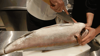 日本料理顶级食材 冰见寒鰤 知乎