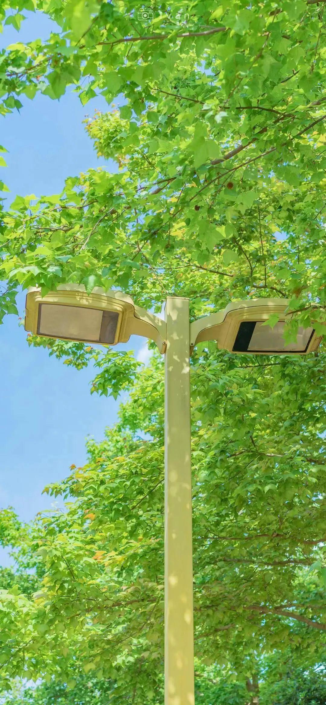 热门壁纸 | 简单干净的锁屏壁纸分享