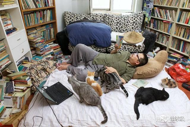 谁不想像史航一样边看书边撸猫?