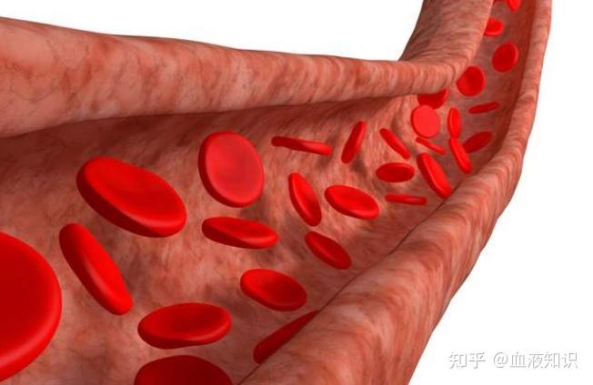 临床上,除了"真红",还有一些疾病可能引起血红蛋白数值升高,比如:慢性