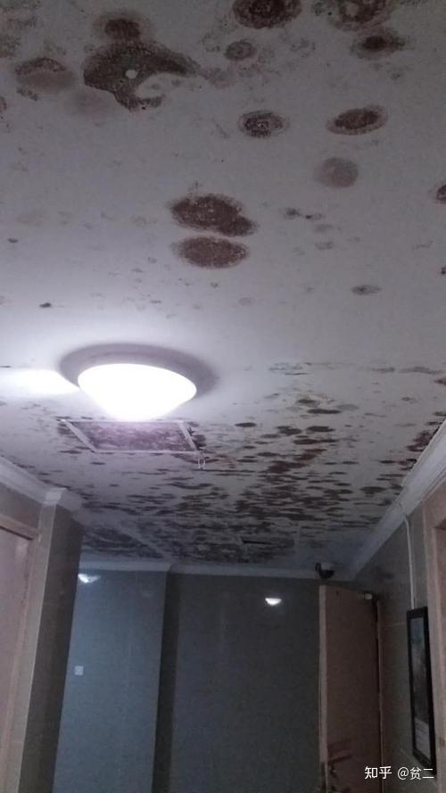 如果室内环境比较差,空气间含水率比较高,或楼上漏水,吊顶用的石膏板