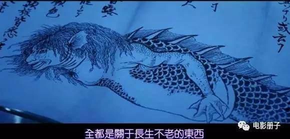 美人鱼到底是个什么东西 知乎