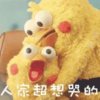 动图封面