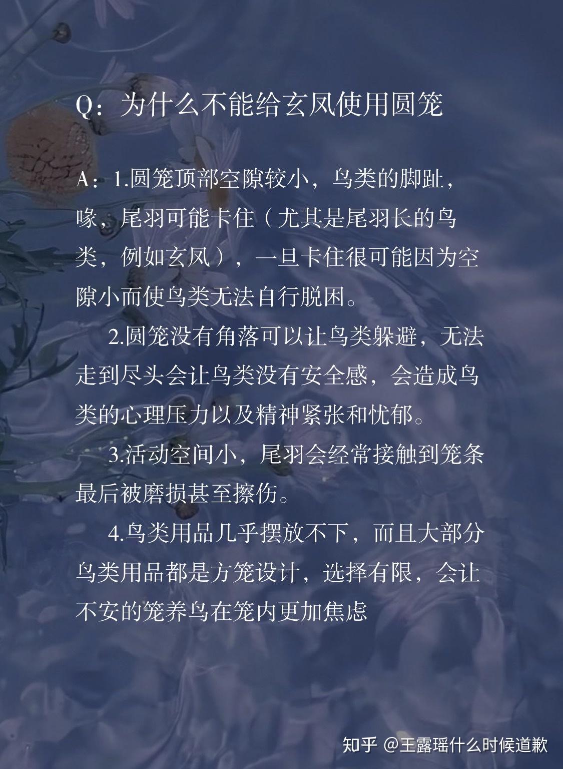 抖音王泡芙虐鸟图片