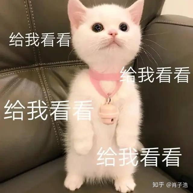 v2-b7ce783a3c210ef25d31d06f577a8542_r.jpg