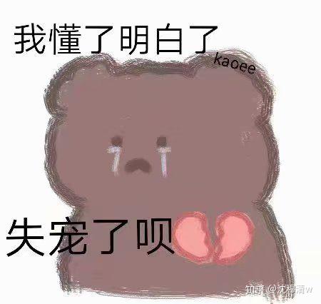 表情包可爱小熊表情包画师kaoee