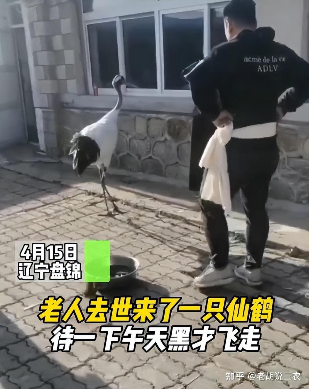 据称,"驾鹤西游"一词出自邓友梅所著的一篇中篇小说----《那五》中,在