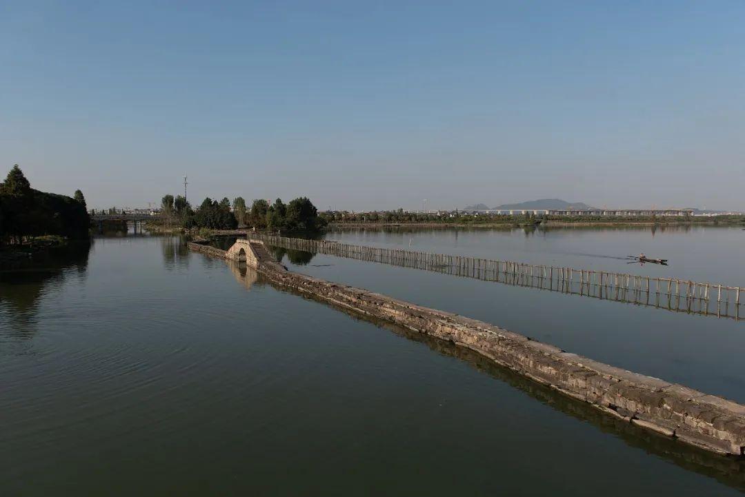 绍兴镜湖湿地公园图片