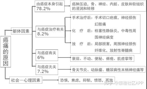 根据who《癌痛三阶梯镇痛治疗指南》和《美国国立综合癌症网络成人