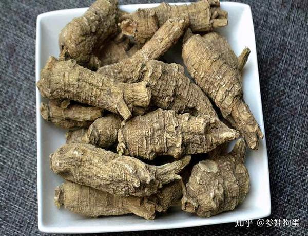 西洋参吃了大半辈子 它的内幕 软枝与硬枝哪个好 没几个知道 知乎