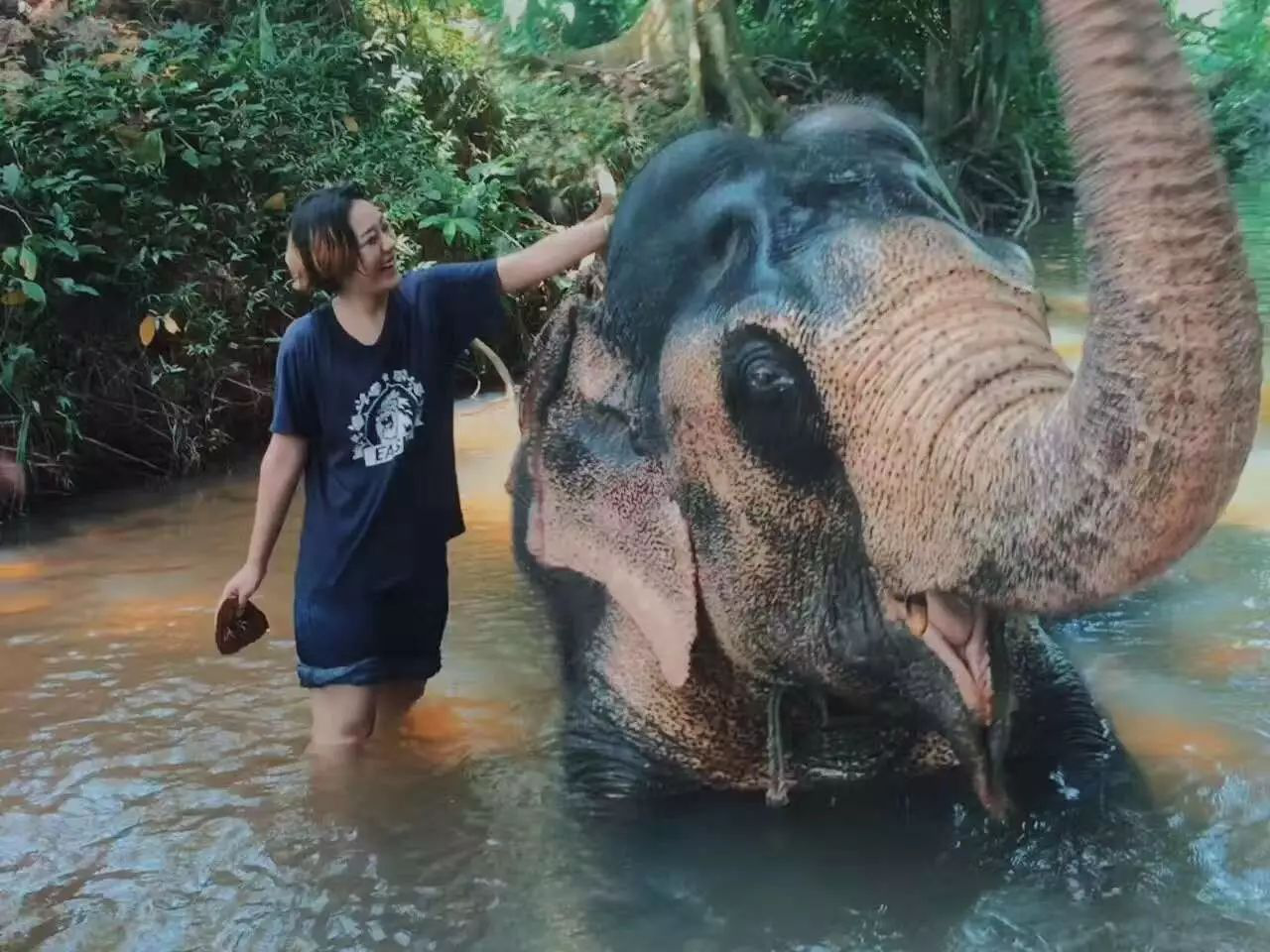 想要做一个斯里兰卡国际志愿者,怎么申请?