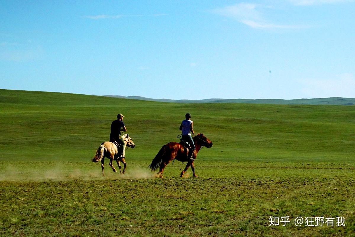 西藏拉萨——去大草原领略赛马节的威武壮观-拉萨旅游攻略-游记-去哪儿攻略