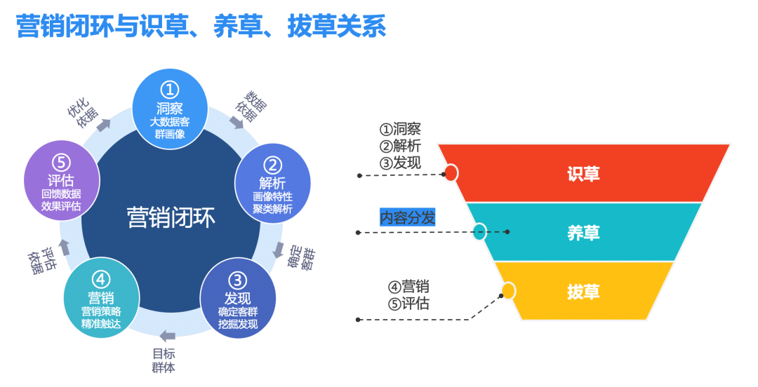 精准营销融合内容运营,形成营销模型:识草,养草,拔草模型