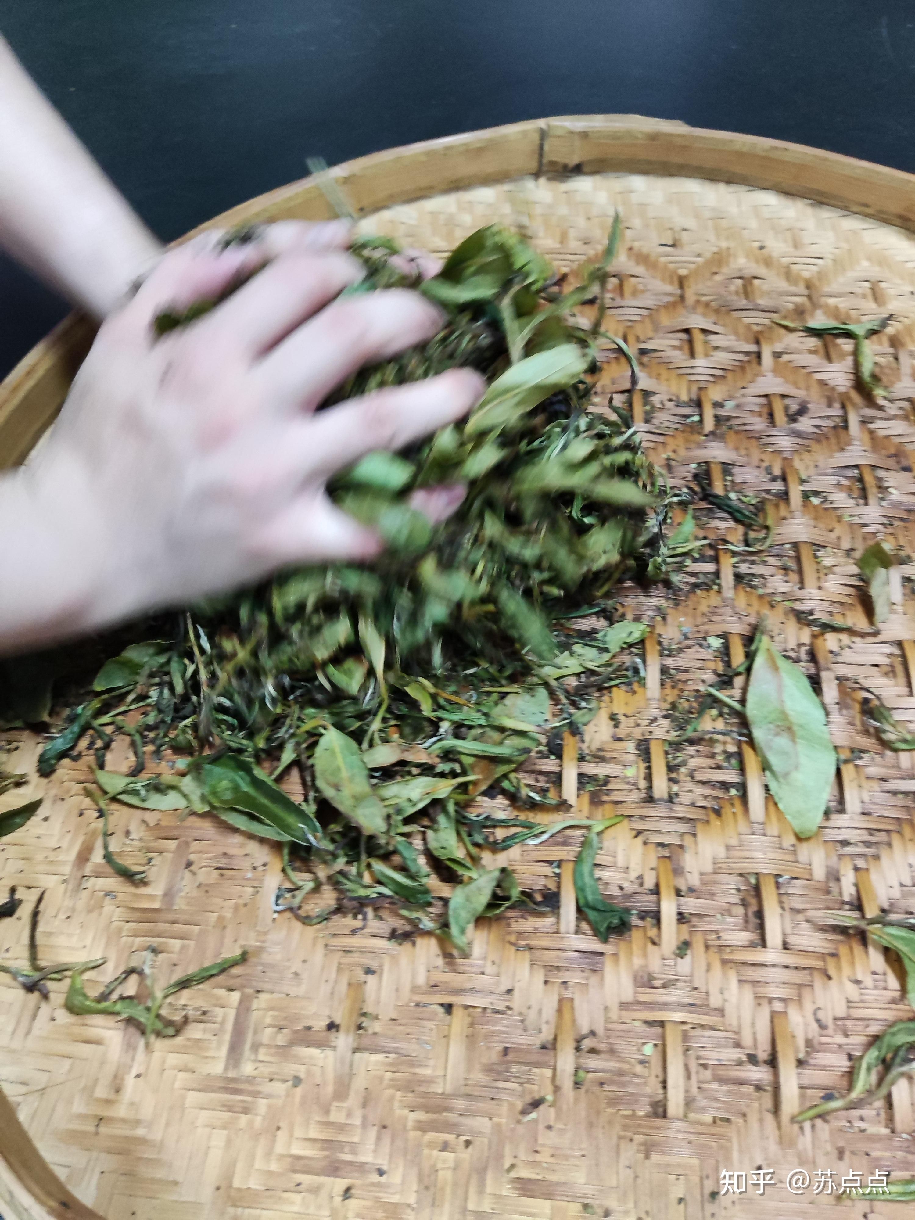 乌龙茶初制工艺原理 - 知乎