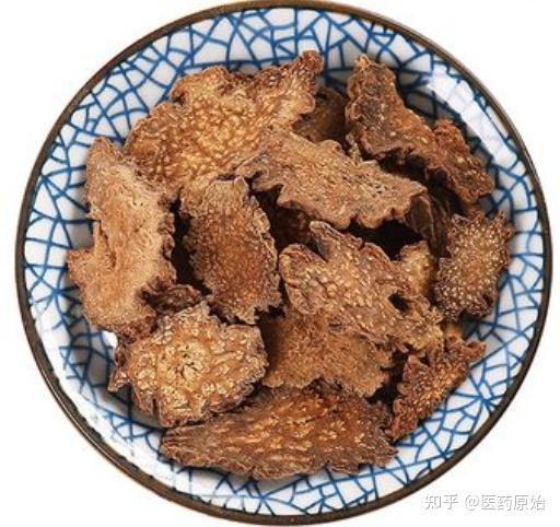 带你识别锁阳 - 知乎