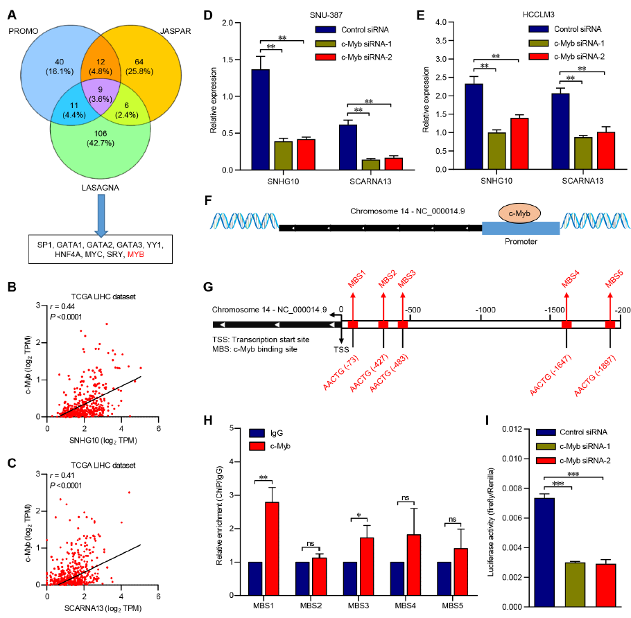 Cancer Res 蛋白组学 多组学 肝癌患者肿瘤 发生和转移机制研究 知乎