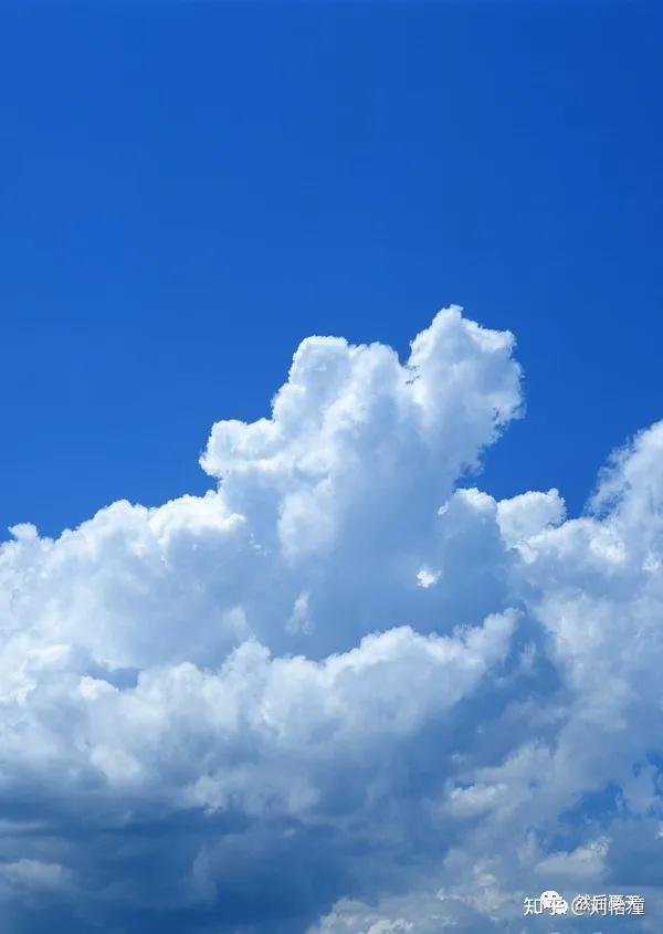 有那些读起来少年感特别强的的句子