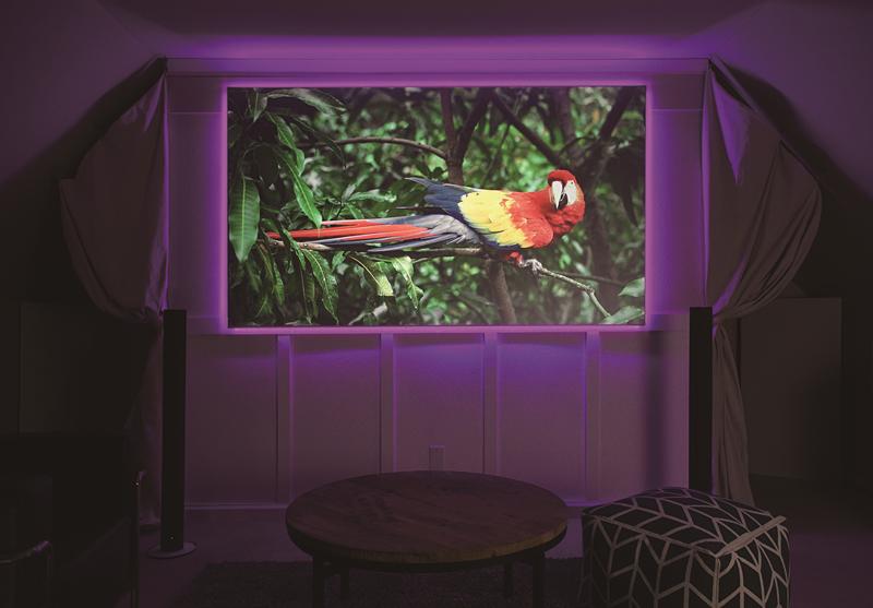 幕布也能“流光溢彩” 亿立大无限eFinity系列画框幕 - 知乎