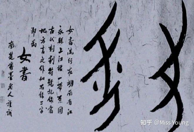 被现代女性遗忘的文化:女书,女性史上的一个奇迹 - 知乎