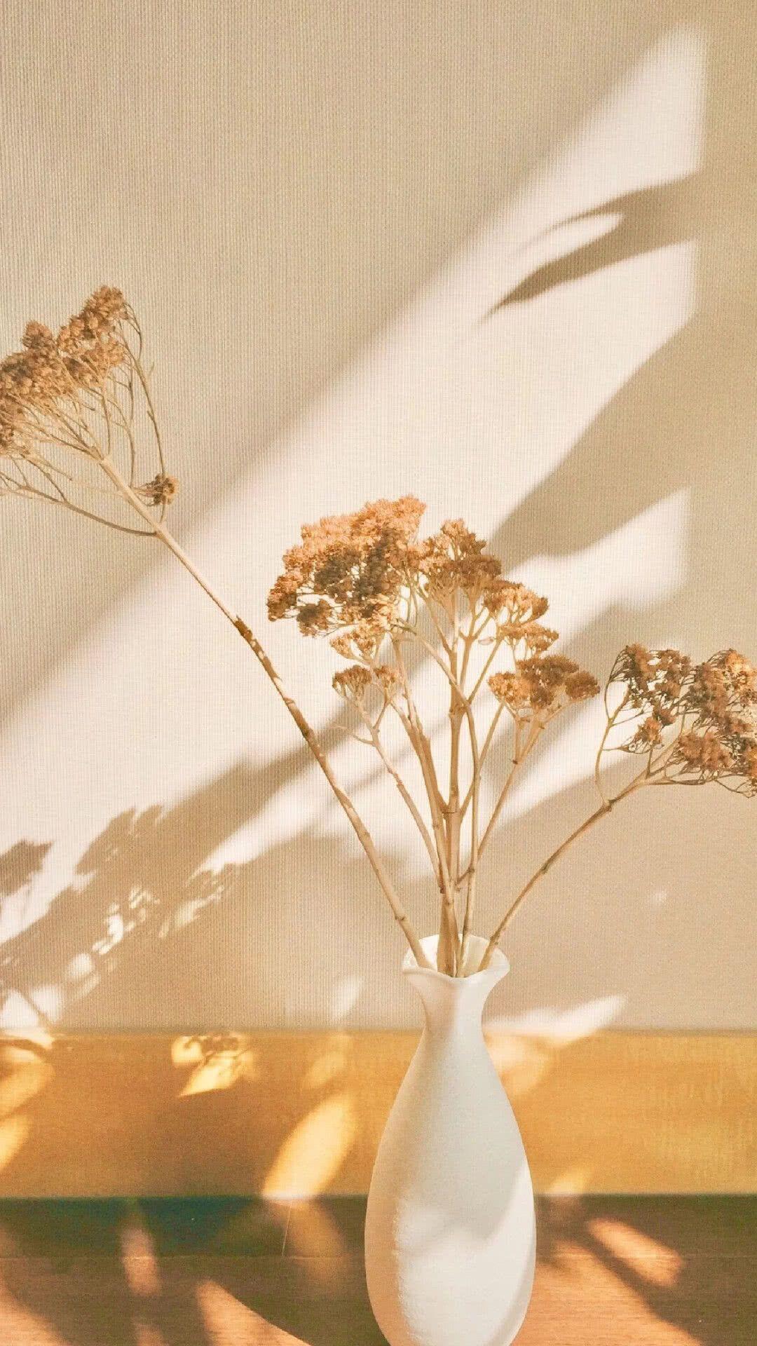 有没有很亮丽很耀眼很清新的全屏高清壁纸推荐