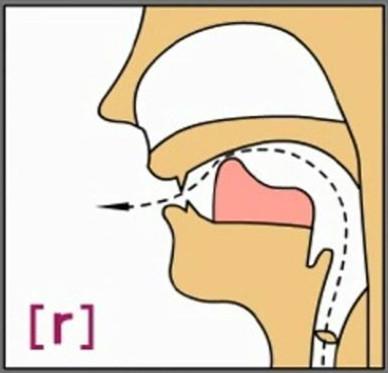 声乐专业 如何练习意大利语中辅音 R 知乎