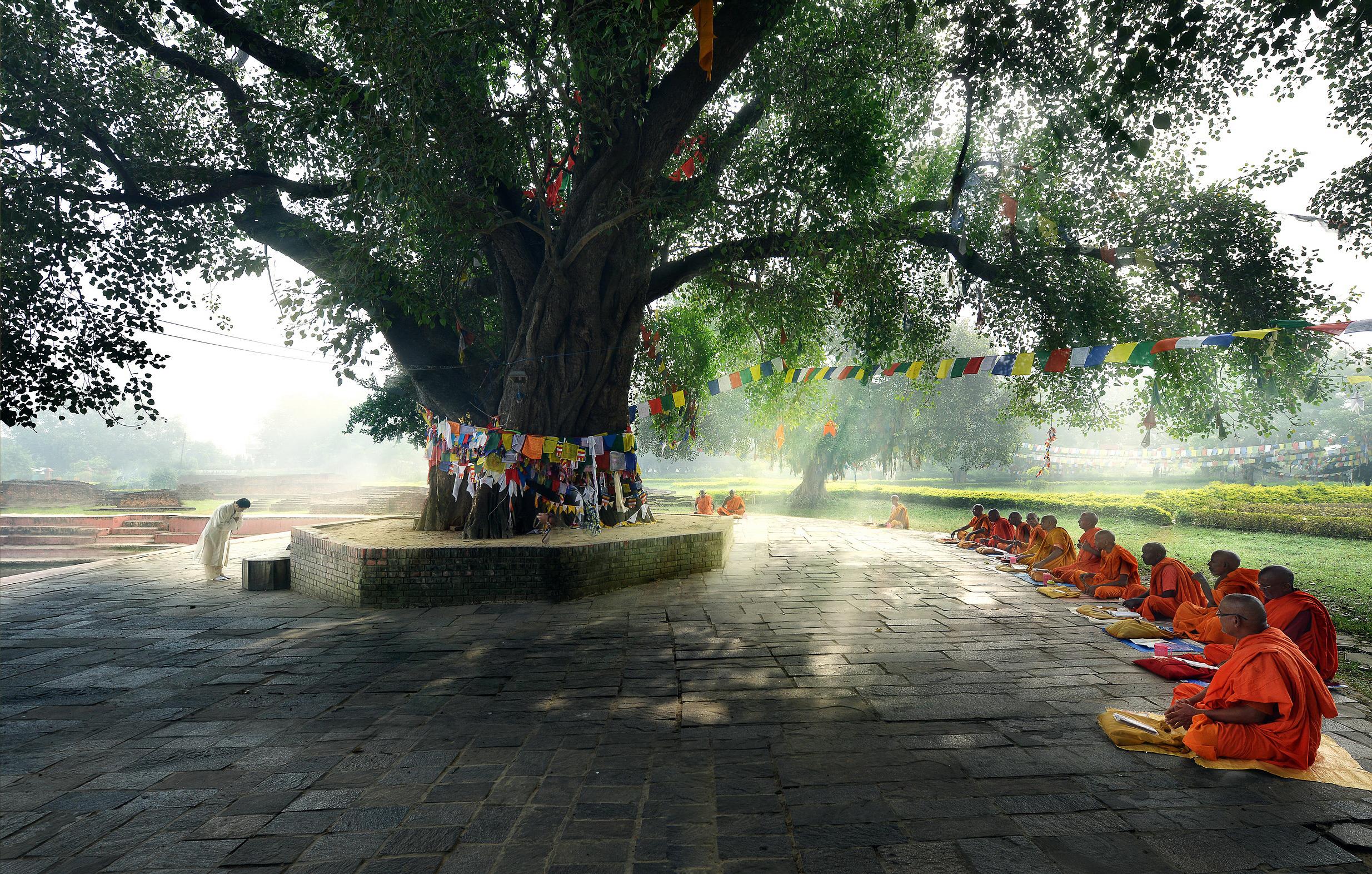 太子沐浴圣池,大菩提树,阿育王石柱处于尼泊尔西南和印度交界处的蓝