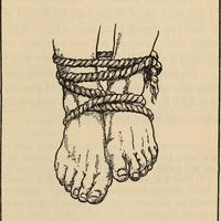 寥寥人生需尽欢