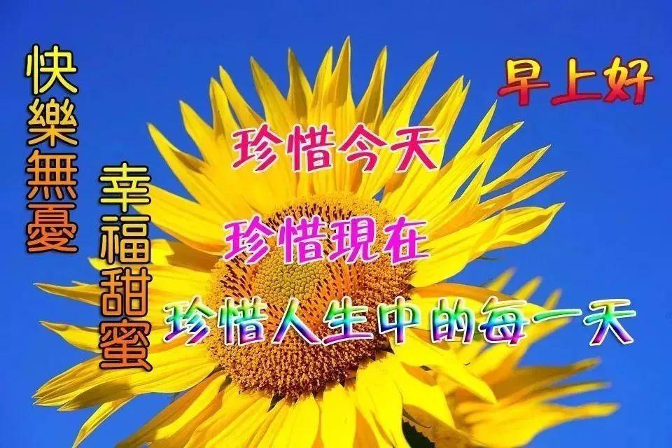 微信群早上問候表情圖片早上問候動態表情圖片大全