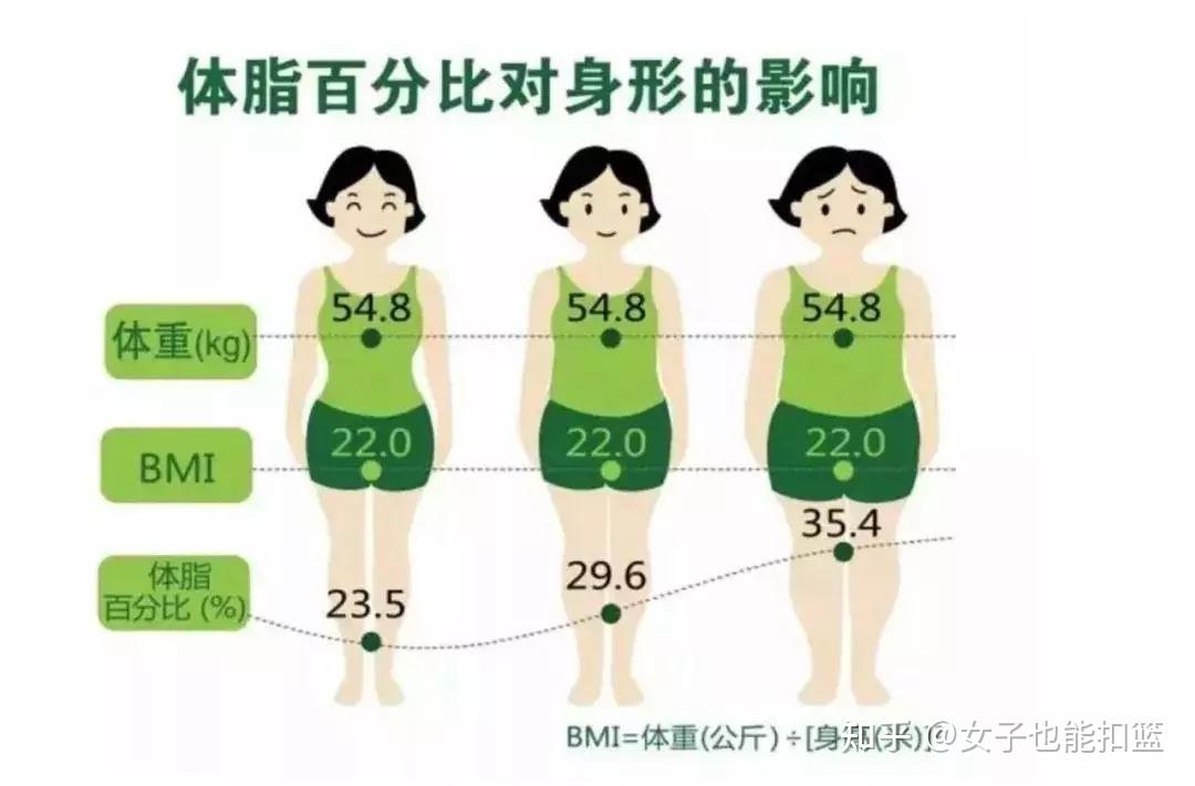 女性完美BMI图片