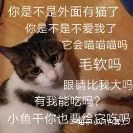 v2-b904da3f48679f20fa1bd90d8a760f82_b.jpg