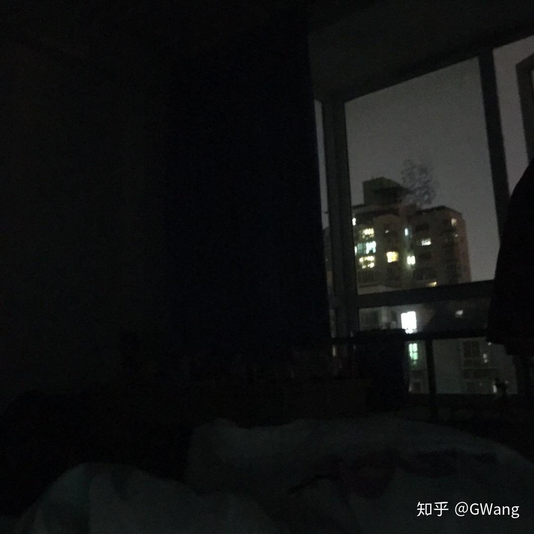 Wild Flower In The Crack wild-flower-in-the-crack