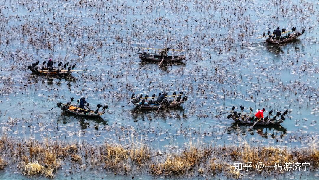 2023年度光影寻美微山湖冬季摄影大赛作品公示