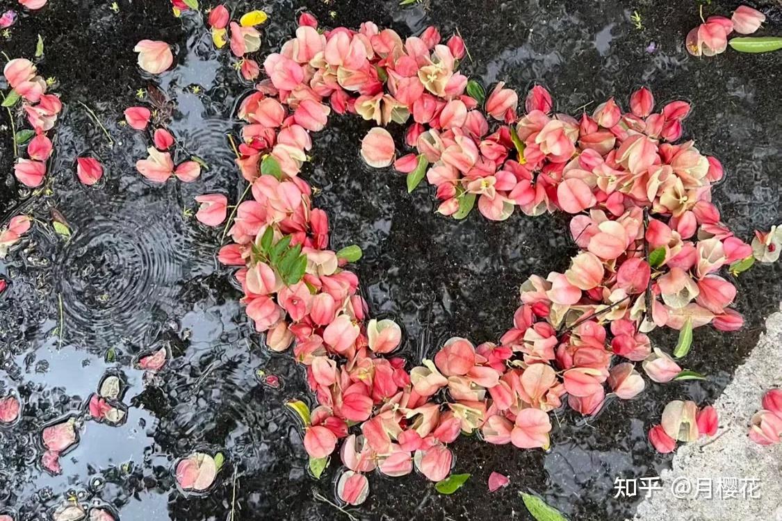 关于初秋的短句文案，秋意满满，很有感觉 - 知乎