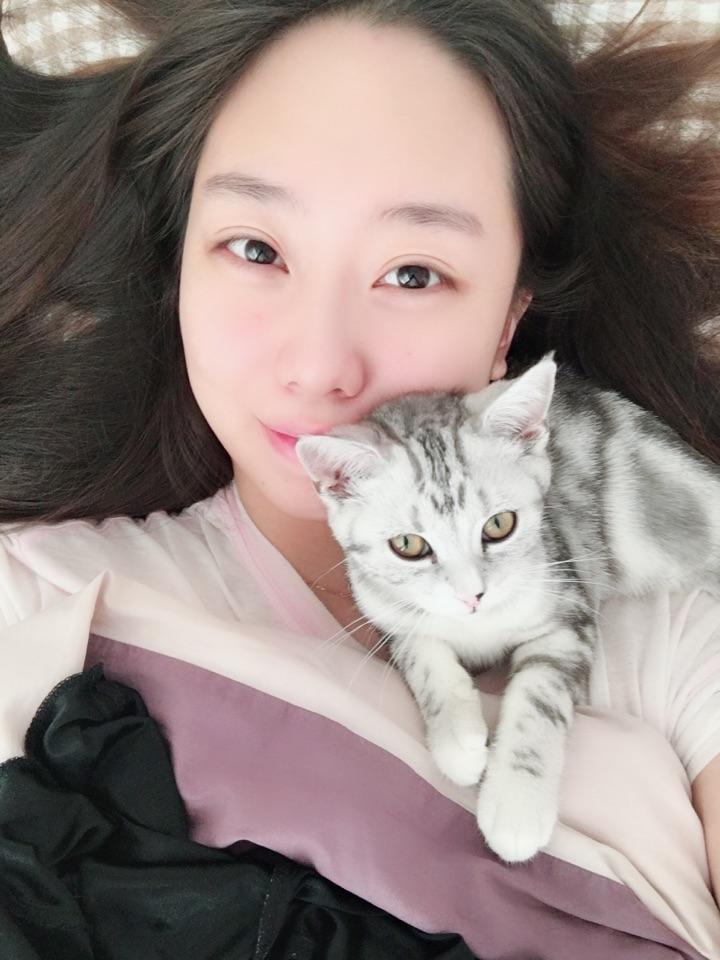 怎么让猫咪变得黏黏黏?