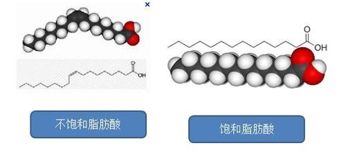 红孩儿牡丹籽油特聘营养师普及饱和脂肪酸的分类! 