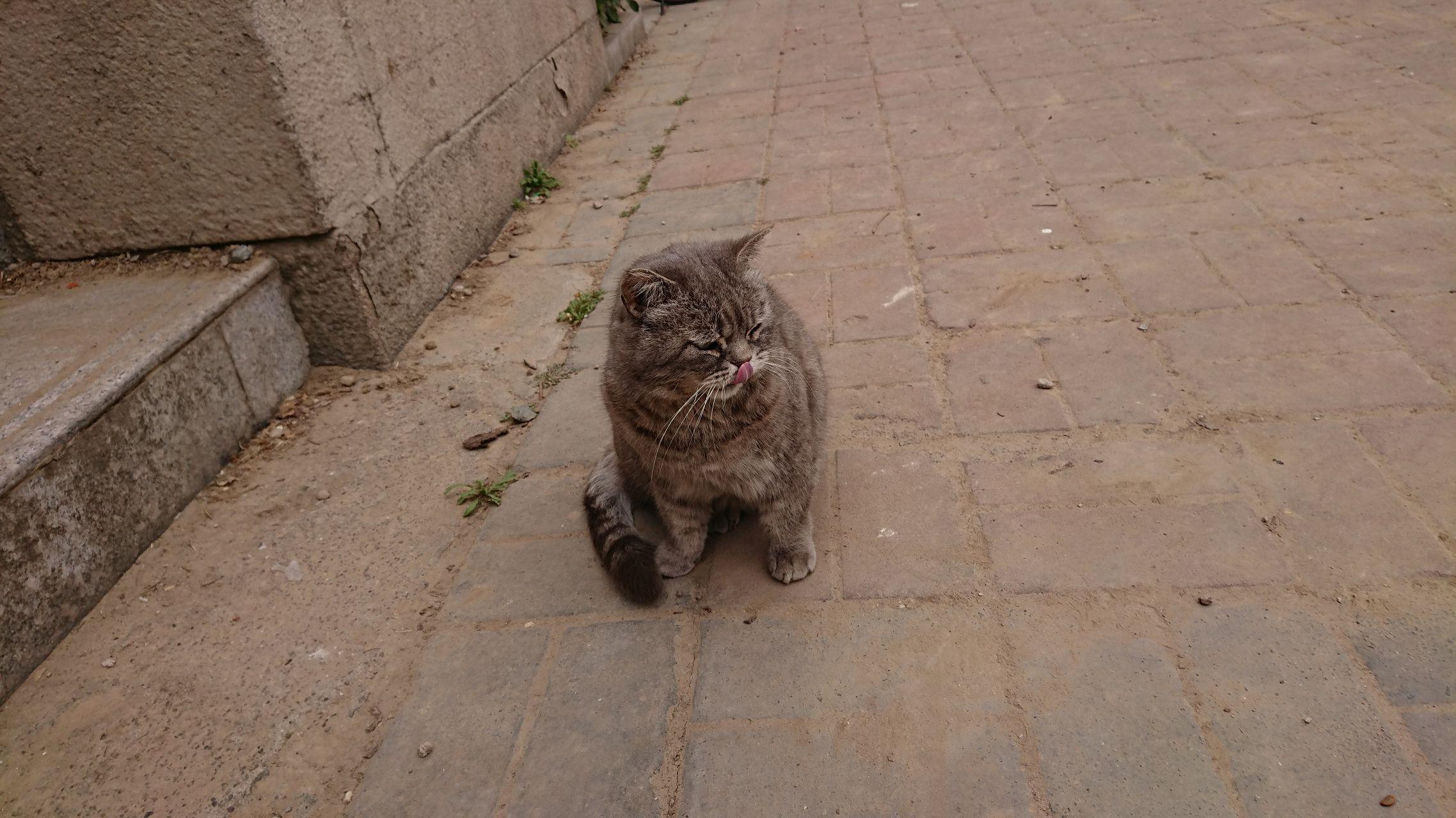 参加清华北大的留学生考试是什么体验?