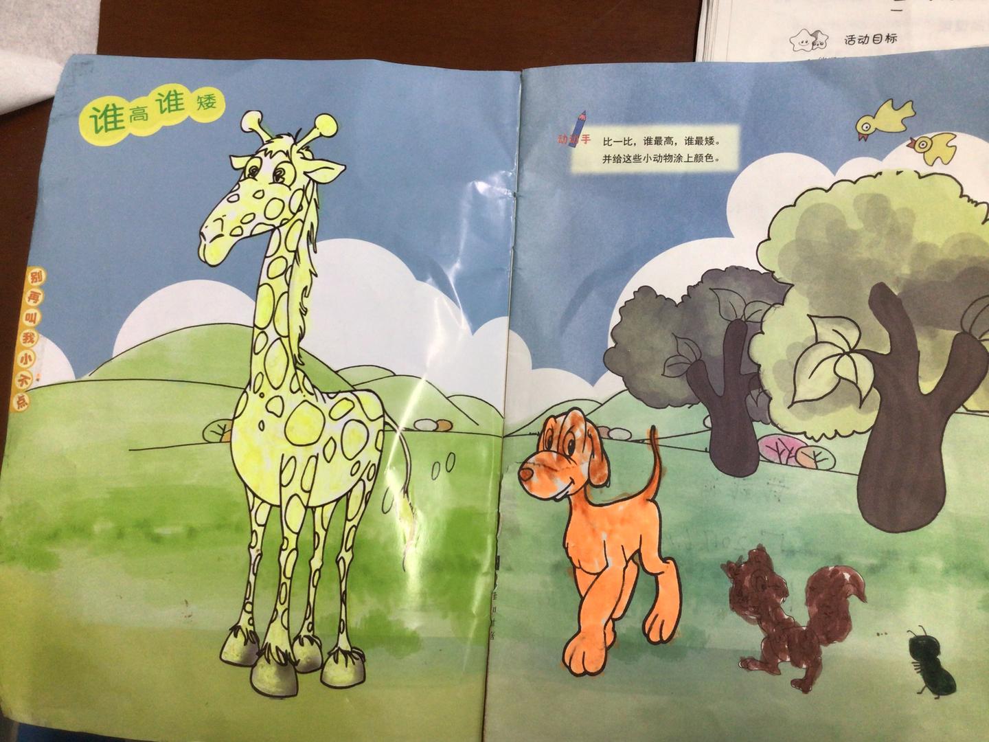 【幼儿园中班活动教案系列】—谁高谁矮 - 知乎