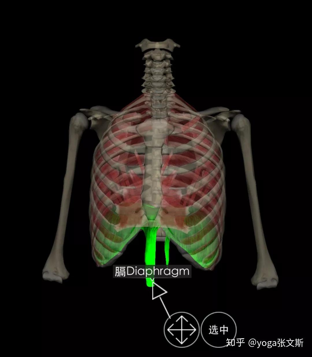 肠道壁增厚CT表现_肠壁