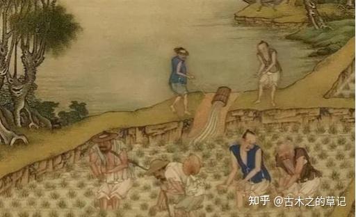 浅析中国历史上的农业技术发展 - 知乎