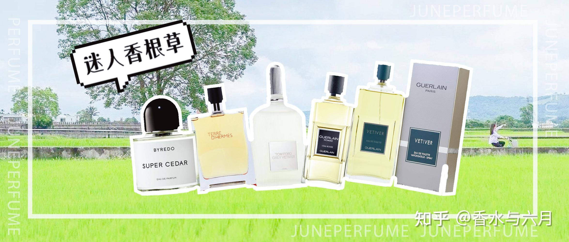 6支常见的香根草香水! - 知乎