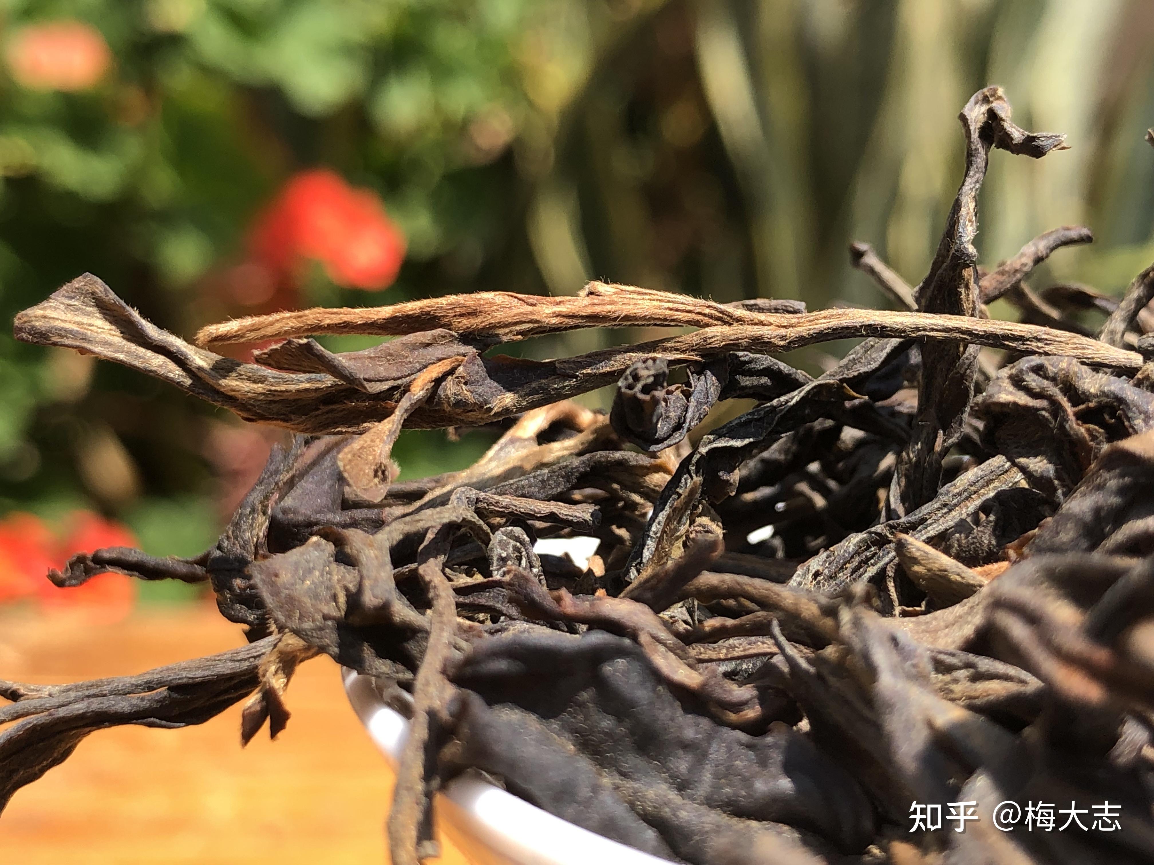 南糯山拔玛寨普洱茶