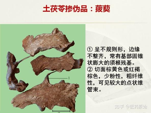 带你识别土茯苓